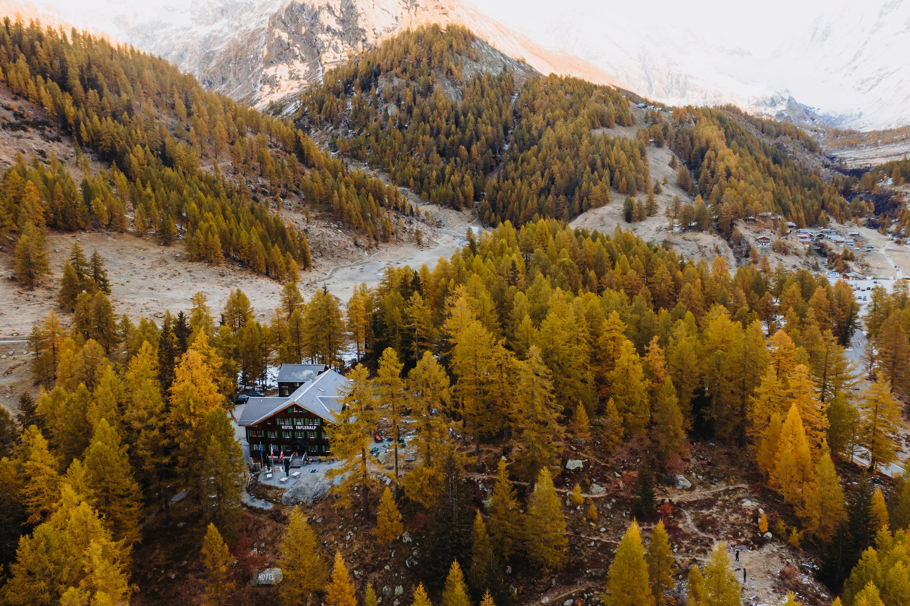 Goldene Lärchen im Lötschental, dazwischen ein Hotel